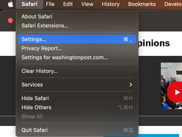 ​​Screenshot of the Safari options dropdown showing the link to settings highlighted